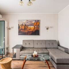 Гостиница Apartament Na Krasnoy Presne 23 в Москве отзывы, цены и фото номеров - забронировать гостиницу Apartament Na Krasnoy Presne 23 онлайн Москва фото 3