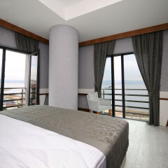 Elite Hotels Darica Spa & Convention Center Турция, Гебзе - отзывы, цены и фото номеров - забронировать отель Elite Hotels Darica Spa & Convention Center онлайн комната для гостей фото 4