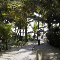 Отель Las Palapas Плая-дель-Кармен фото 14