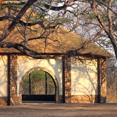 Gwango Elephant Lodge in Dete, Zimbabwe from 332$, photos, reviews - zenhotels.com entertainment