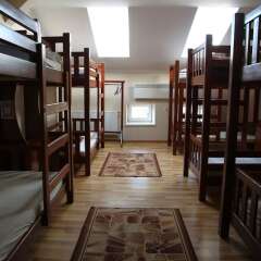 Lions heart hostel развлечения