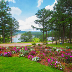 Terracotta Hotel & Resort Dalat спа