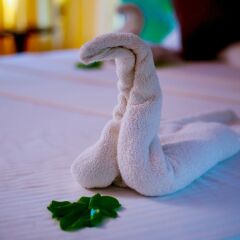 Отель Yala Safari Camping парковка