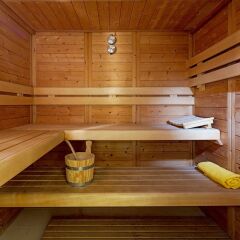 Отель Theoxenia Palace Кифисия сауна