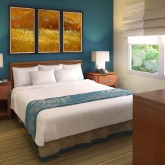 Отель Residence Inn Washington, DC/Foggy Bottom США, Вашингтон - отзывы, цены и фото номеров - забронировать отель Residence Inn Washington, DC/Foggy Bottom онлайн комната для гостей фото 5