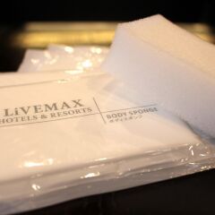 Hotel Livemax Tokyo Shiomi Ekimae ванная