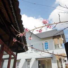 Отель Do's Villa Вьетнам, Далат - отзывы, цены и фото номеров - забронировать отель Do's Villa онлайн