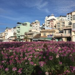 Nang Vang Hotel Далат