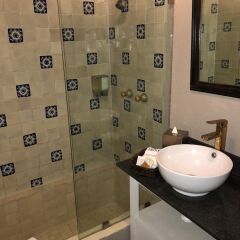 Отель Pug Seal B&B Coyoacan Мексика, Мехико - отзывы, цены и фото номеров - забронировать отель Pug Seal B&B Coyoacan онлайн интерьер отеля фото 2