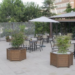 Отель Abba Garden Испания, Барселона - 5 отзывов об отеле, цены и фото номеров - забронировать отель Abba Garden онлайн фото 9