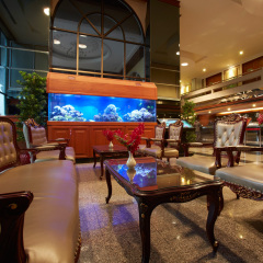 Nasa Vegas Hotel питание