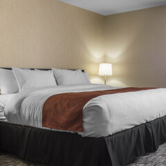 Отель Quality Inn & Suites Канада, Кингстон - отзывы, цены и фото номеров - забронировать отель Quality Inn & Suites онлайн комната для гостей фото 4