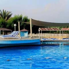 Отель Golden Beach Motel ОАЭ, Шарджа - 1 отзыв об отеле, цены и фото номеров - забронировать отель Golden Beach Motel онлайн бассейн фото 2