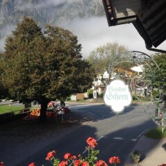 Отель Gasthof Schorn Ziegler Kg Грёдиг балкон