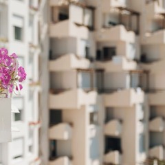 Отель Bougainville Bay Serviced Apartments Албания, Саранда - отзывы, цены и фото номеров - забронировать отель Bougainville Bay Serviced Apartments онлайн гостиничный бар