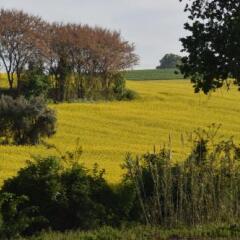 Отель La Collina nel Cuore Лорето фото 14