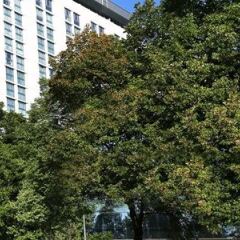 Отель Hilton Vienna фото 4