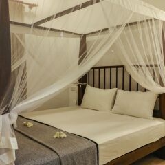 Отель Villa Rosa Blanca - White Rose Шри-Ланка, Галле - отзывы, цены и фото номеров - забронировать отель Villa Rosa Blanca - White Rose онлайн комната для гостей фото 3