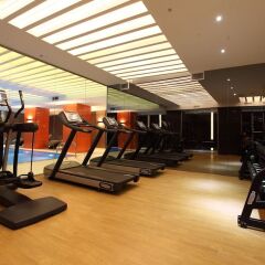 Victory Hotel & Spa Istanbul Стамбул фитнесс-зал фото 4