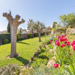 Отель Villa Mas Guelo Бланес