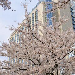 Отель Grand Hyatt Токио фото 2