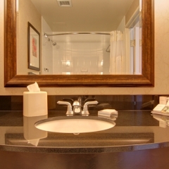 Отель Hilton Garden Inn Calgary Airport Канада, Калгари - отзывы, цены и фото номеров - забронировать отель Hilton Garden Inn Calgary Airport онлайн ванная фото 2