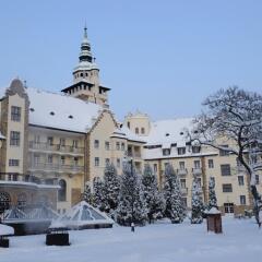 Отель Hunguest Hotel Palota Венгрия, Силвашварад - 1 отзыв об отеле, цены и фото номеров - забронировать отель Hunguest Hotel Palota онлайн фото 10
