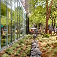 Отель Park Hyatt Washington фото 4