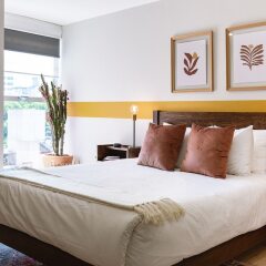 Отель Incredible and Spacious 2BR 2BA Apt in Polanco Мехико комната для гостей фото 5