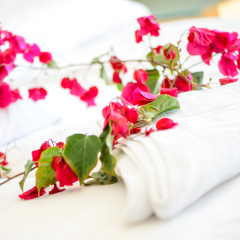 Hotel RD Costa Portals - Adults Only в номере