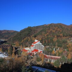 Отель Yongpyong Resort Dragon Valley Hotel Южная Корея, Пхёнчан - отзывы, цены и фото номеров - забронировать отель Yongpyong Resort Dragon Valley Hotel онлайн балкон