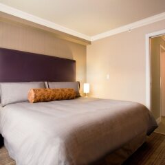 Отель Sandman Hotel & Suites Calgary South Канада, Калгари - отзывы, цены и фото номеров - забронировать отель Sandman Hotel & Suites Calgary South онлайн фото 14