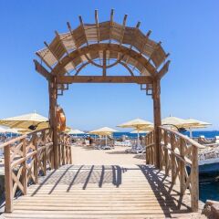 Отель Sunrise Holidays Resort Hurghada (Только для взрослых) фото 4