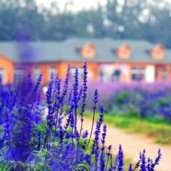 Отель Blues Manor Китай, Пекин - отзывы, цены и фото номеров - забронировать отель Blues Manor онлайн спортивное сооружение