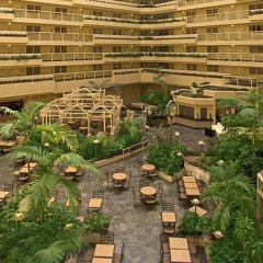 Отель Embassy Suites Los Angeles - International Airport/North США, Лос-Анджелес - отзывы, цены и фото номеров - забронировать отель Embassy Suites Los Angeles - International Airport/North онлайн фото 4