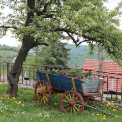 Отель Guest House Daskalov Боженци фото 7