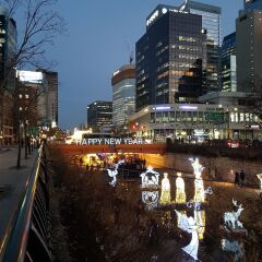 Отель 24 Guesthouse Cheonggyecheon фото 5