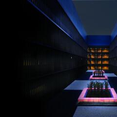 Отель Villa Fontaine Tokyo-Tamachi Япония, Токио - 1 отзыв об отеле, цены и фото номеров - забронировать отель Villa Fontaine Tokyo-Tamachi онлайн спортивное сооружение