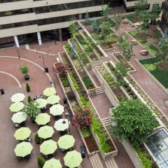 Отель Holiday Inn Washington-Capitol США, Вашингтон - отзывы, цены и фото номеров - забронировать отель Holiday Inn Washington-Capitol онлайн фото 8