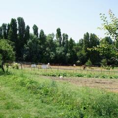 Отель Agriturismo Case Mori Римини фото 16