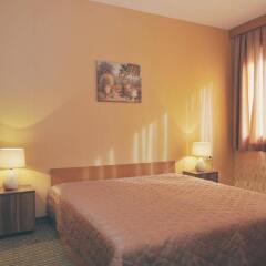 Rodopi Hotel комната для гостей фото 4