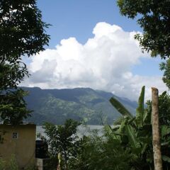 Отель Peace Guest House Pokhara Непал, Покхара - отзывы, цены и фото номеров - забронировать отель Peace Guest House Pokhara онлайн фото 8