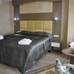 Отель Ayseli Otel комната для гостей фото 3