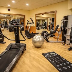 Отель Le Grand Hôtel - Domaine De Divonne Франция, Дивон-ле-Бен - отзывы, цены и фото номеров - забронировать отель Le Grand Hôtel - Domaine De Divonne онлайн фитнесс-зал