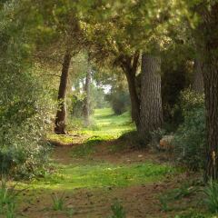 Отель Agroturismo Ses Arenes фото 2