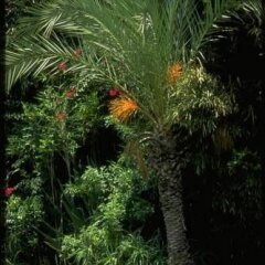 Отель Ibis Rabat Agdal Марокко, Рабат - отзывы, цены и фото номеров - забронировать отель Ibis Rabat Agdal онлайн фото 6