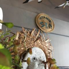 Vitamin Sea Hostel Phuket с домашними животными