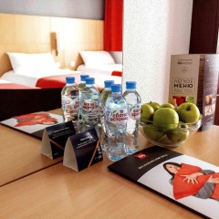 Гостиница Ibis Нижний Новгород фото 13