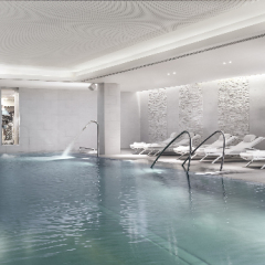 Отель The Ritz Carlton Vienna Вена бассейн фото 2