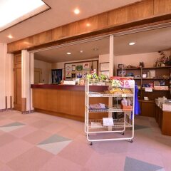 Hotel Hakuba Berg-Land Хакуба гостиничный бар